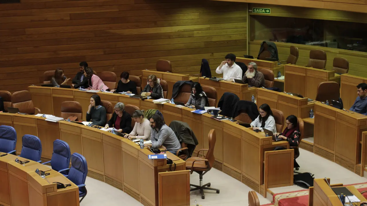 Escanos oposici&oacute;n Parlamento da Galiza. Debate ILP sobre o galego no &aacute;mbito socioecon&oacute;mico. 19 de decembro de 2017.