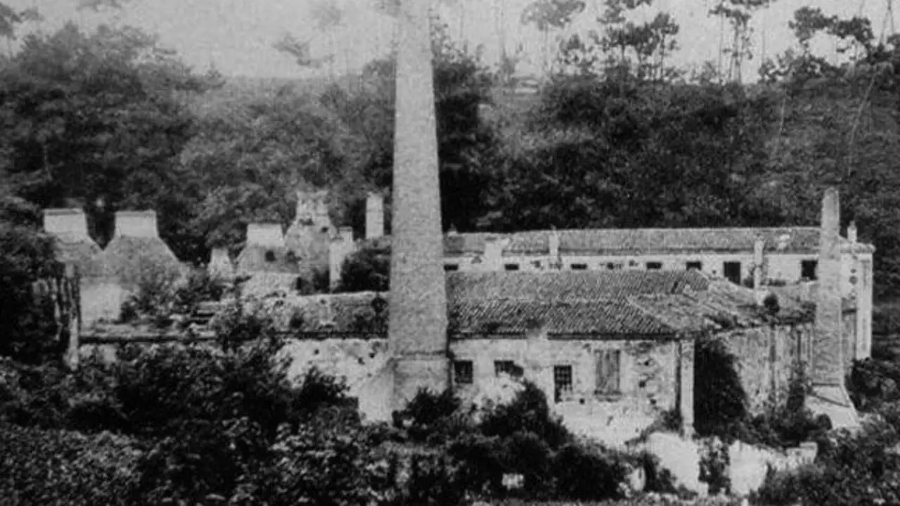 Cervo.