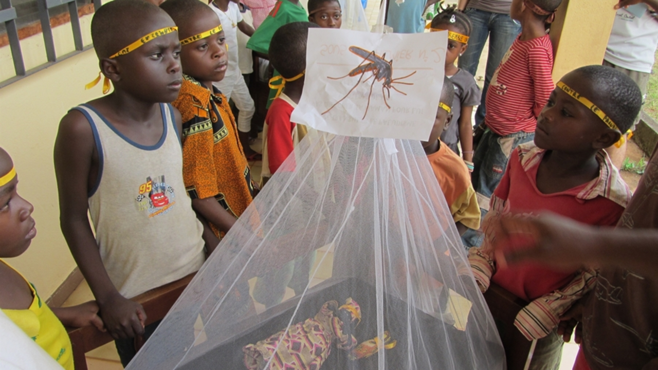 malaria