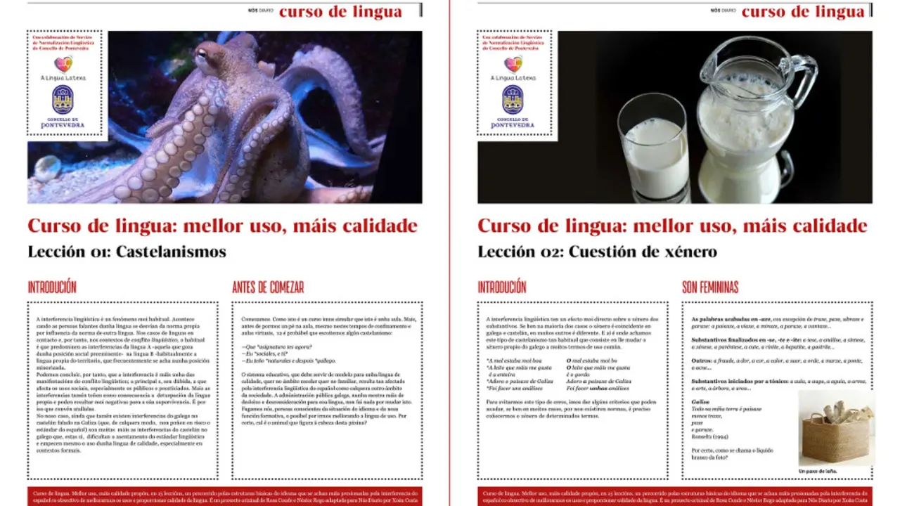 curso-lingua