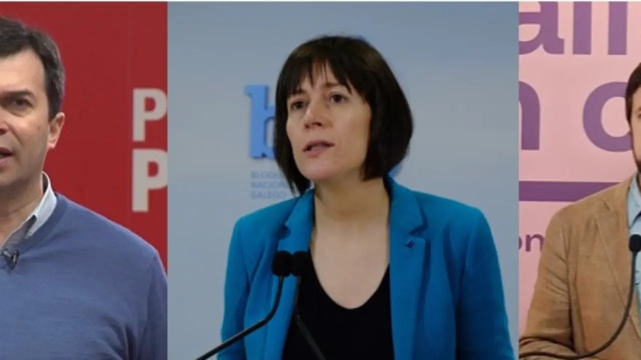 Gonzalo Caballero (PSdeG), Ana Pont&oacute;n (BNG) e Ant&oacute;n G&oacute;mez-Reino (GeC).