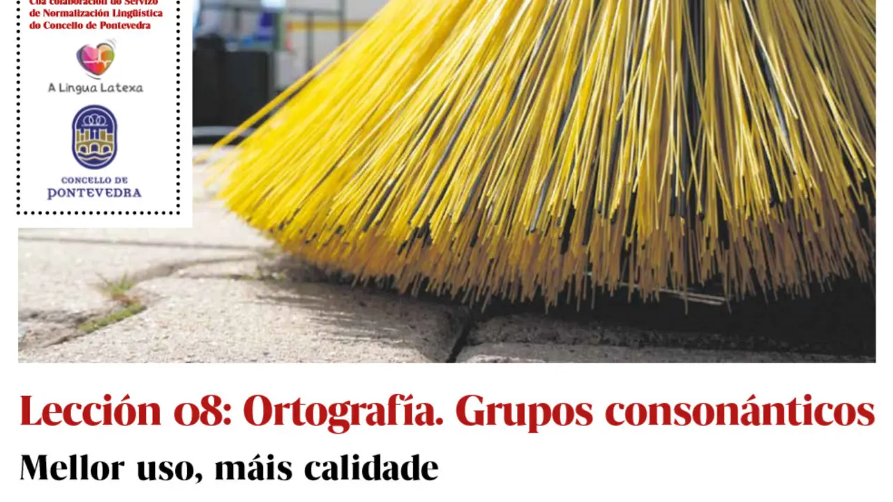 lecci&oacute;n 8 curso galego