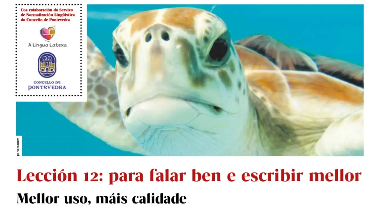 lecci&oacute;n 12
