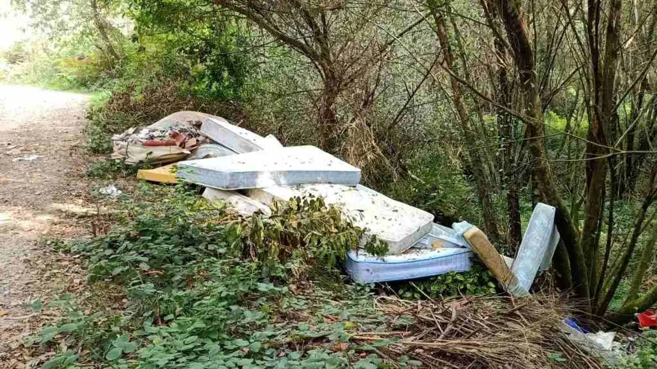 refugallo no monte, ferrolterra, denuncia
