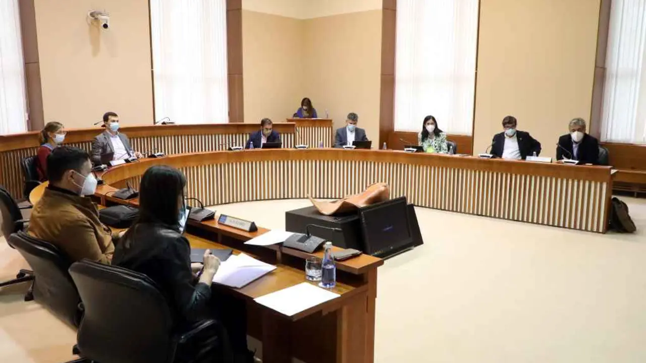 Terceira xornada de comparecencias na comisi&oacute;n de reactivaci&oacute;n do Parlamento (Foto: Arxina)