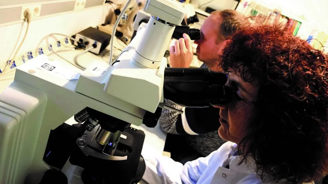 Investigadores do Instituto de Investigaci&oacute;n en An&aacute;lises Qu&iacute;micas e Biol&oacute;xicas da USC (Arxina).