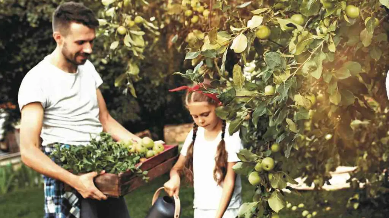 A horta &eacute; unha actividade excelente para facer en familia (Foto: Freepik)