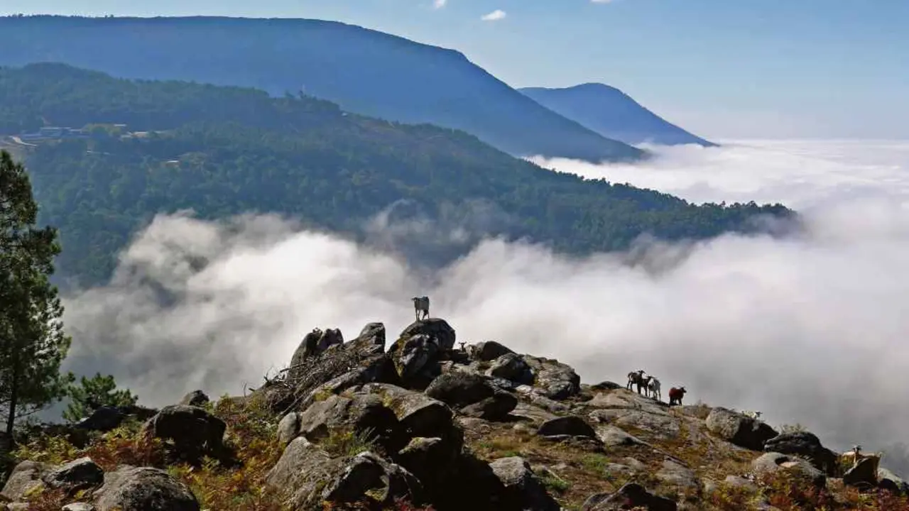 A serra da Groba para as nubes baixas que entran do mar.
