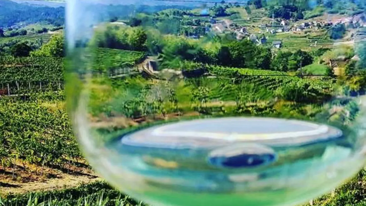 copa vi&ntilde;edo