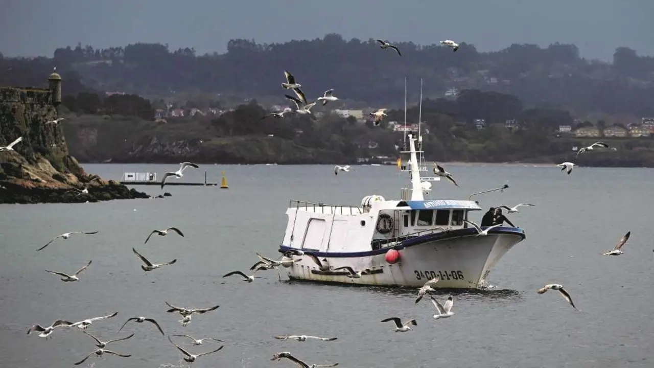 Un barco de frota artesanal fronte &aacute; d&aacute;rsena da Mari&ntilde;a, no porto da Coru&ntilde;a (Foto: M. Dylan / Europa Press).