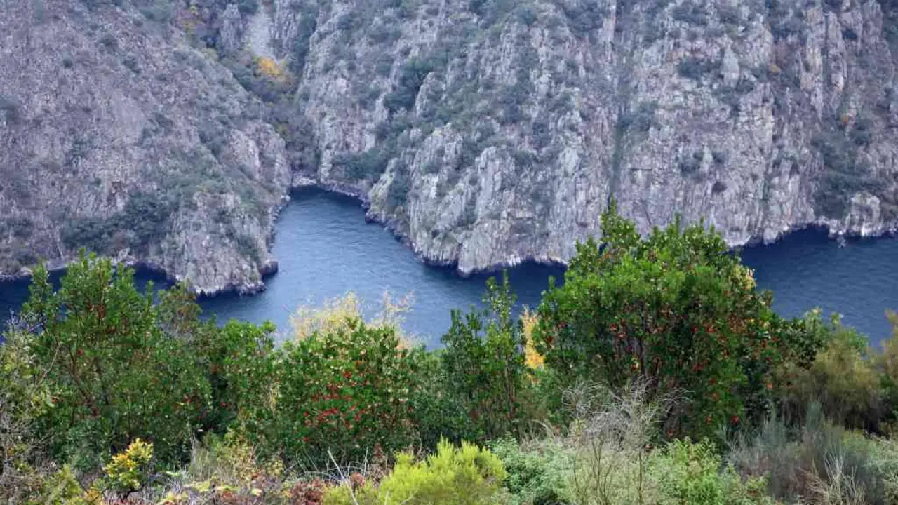 &Eacute;rbedos nas abas encostas do can&oacute;n.