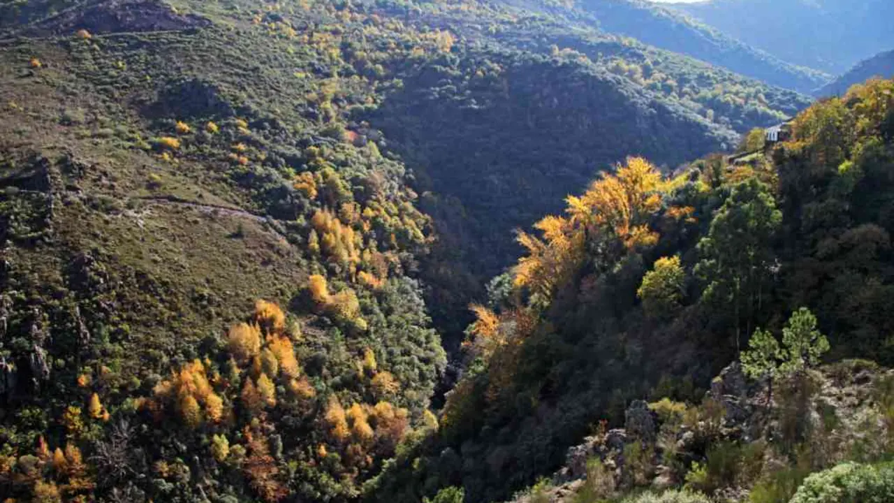 Os cambios na vexetaci&oacute;n fan que a paisaxe adquira distintos matices que var&iacute;an en cada &eacute;poca do ano. O outono pon de relevo as distintas especies de &aacute;rbores.