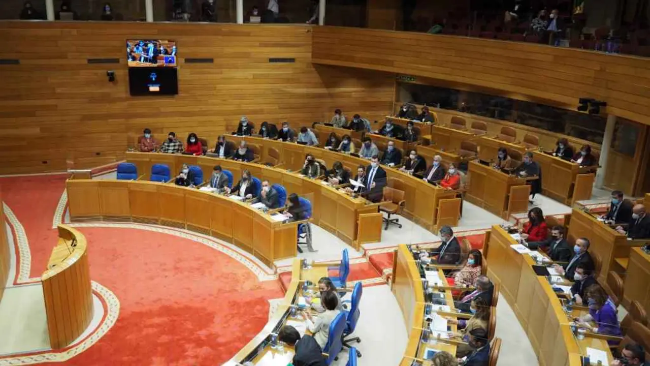 O PP pedir&aacute; o apoio de todos os grupos &aacute; Constituci&oacute;n espa&ntilde;ola (Foto: Parlamento da Galiza)