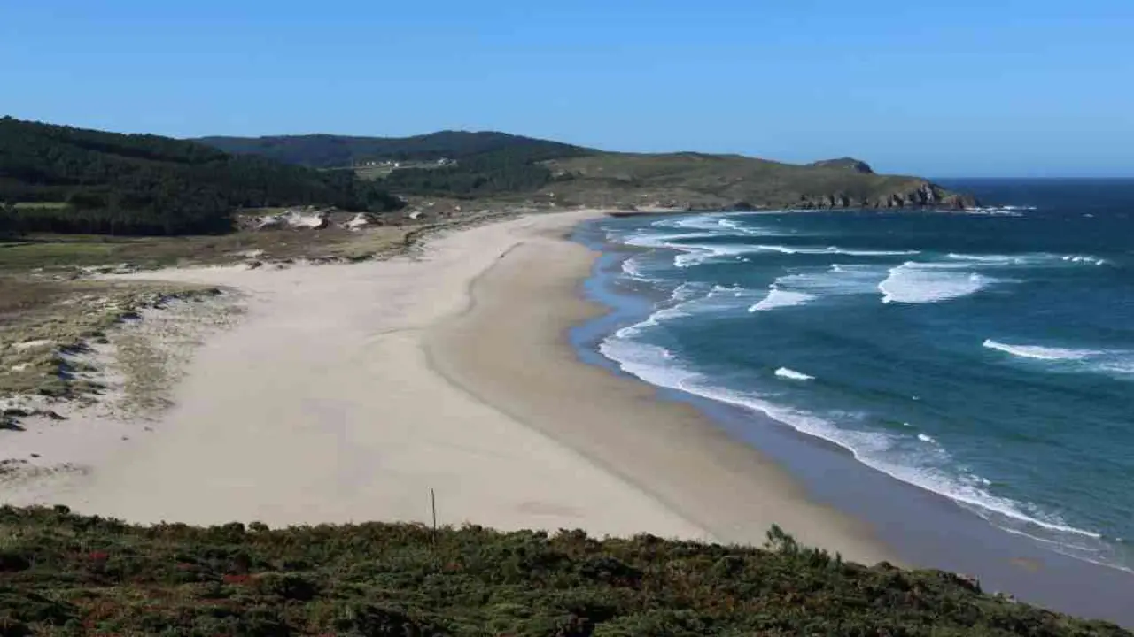 Praia do Rostro. Un areal de 2 km cun extenso cord&oacute;n de dunas fixadas por unha das vexetaci&oacute;ns psam&oacute;filas mellor conservadas da Galiza.