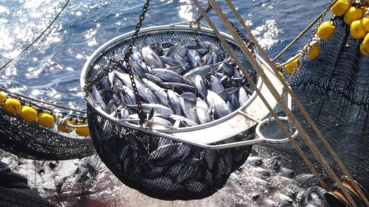 A reduci&oacute;n ou mesmo a supresi&oacute;n do IVE para os produtos pesqueiros &eacute; unha vella demanda dos pescadores galegos (Foto: OPAGAC).