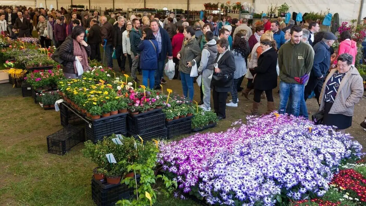 Edici&oacute;n da Feira da Plantaci&oacute;n de 2018. (Foto: N&oacute;s Diario)