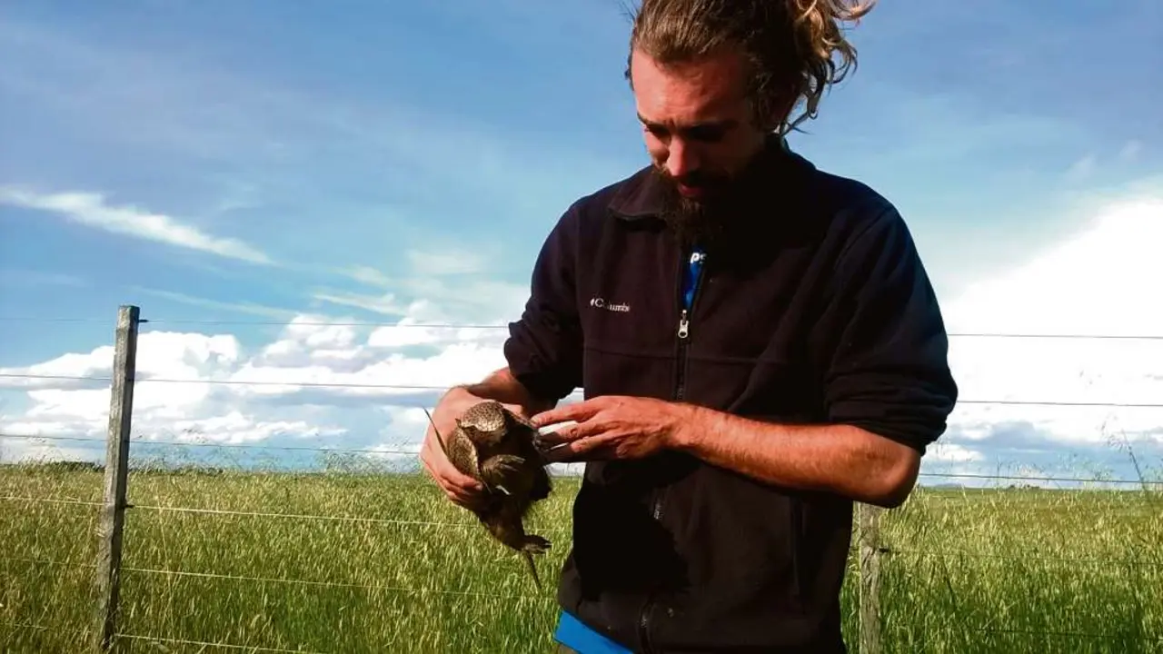 Pedro Romero Vidal sost&eacute;n un piche patag&oacute;nico (Zaedyus pichiy) co&ntilde;ecido tam&eacute;n como armadillo da Patagonia (Arxentina). (Foto: N&oacute;s Diario)
