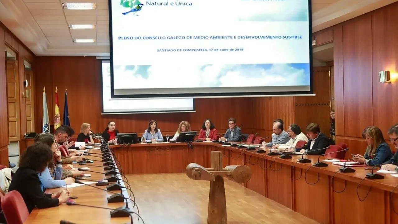 Xuntanza de Cogamads. (Foto: N&oacute;s Diario)
