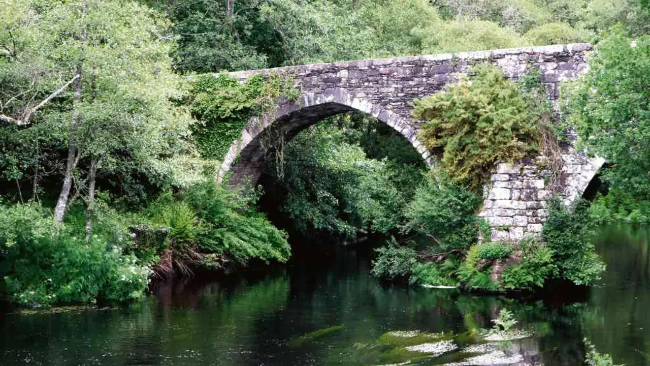 Ponte medieval de San Alberte de Parga.