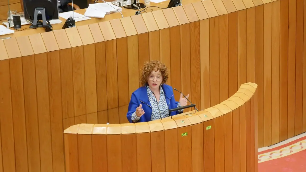 A deputada do BNG no Parlamento Montse Prado. (Foto: N&oacute;s Diario)