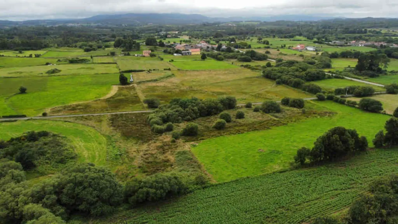 Bra&ntilde;a de Valadares (Foto: Ecoloxistas en Acci&oacute;n).