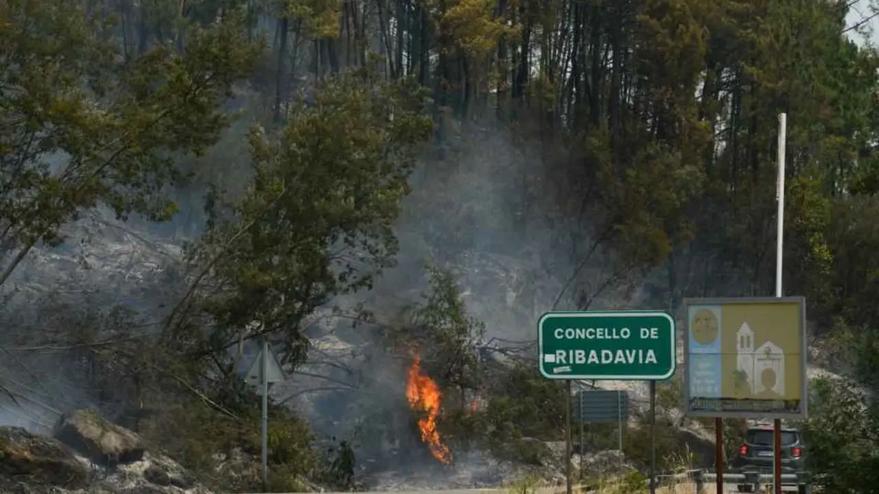 Incendio de Ribadavia. (Foto: Europa Press)