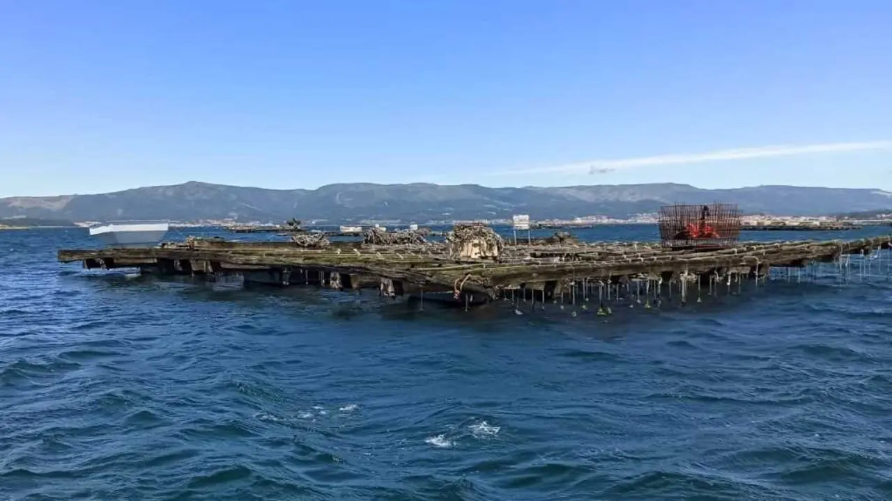 Batea na illa de Arousa. (Foto: Europa Press)