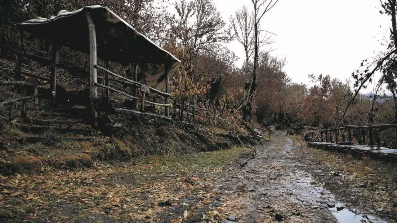 Sendeiro arrasado polo incendio que afectou o concello de Folgoso de Courel e que percorre varios bens patrimoniais da zona. (Foto: Europa Press)