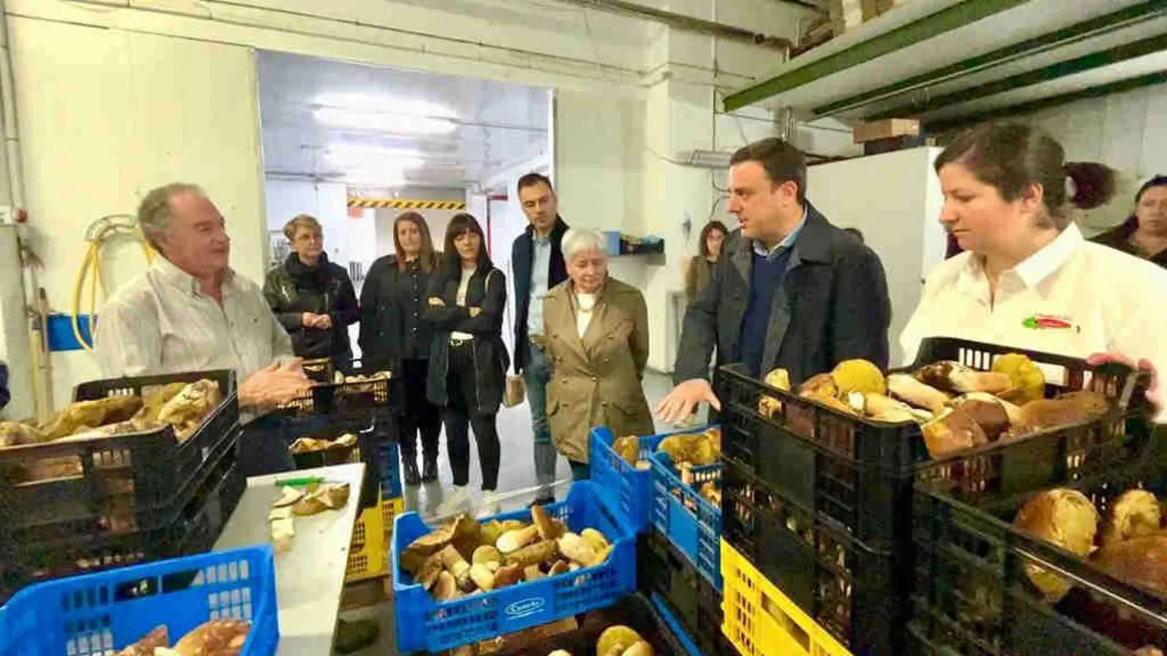 Valent&iacute;n Gonz&aacute;lez Formoso visita &aacute; empresa Champivil, en Vilalba (Foto: N&oacute;s Diario).
