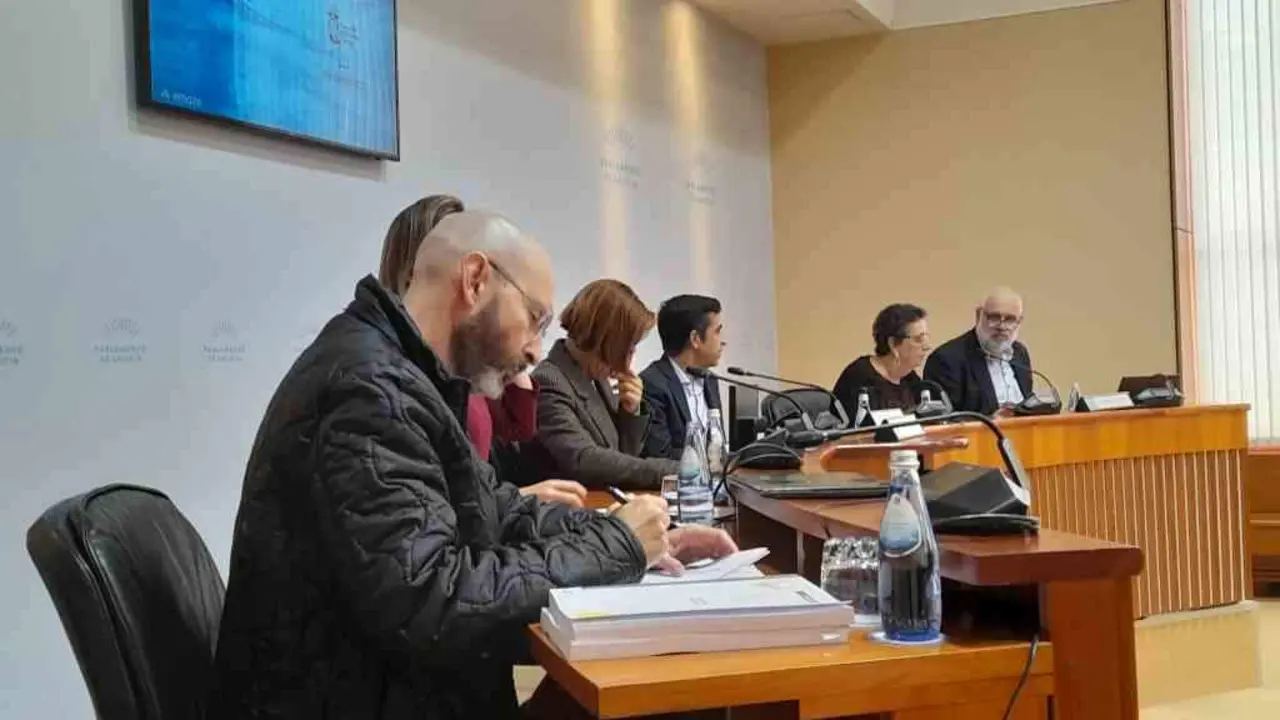 Rosario &Aacute;lvarez, onte, comparecendo na Comisi&oacute;n de Orzamentos do Parlamento.Galego