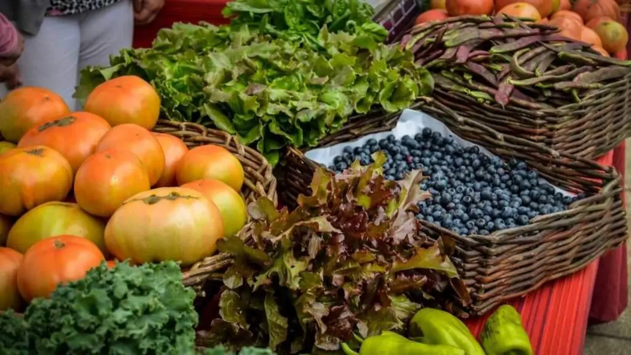 Diferentes froitas e hortalizas cultivadas ao xeito ecol&oacute;xico. (Foto: Craega)