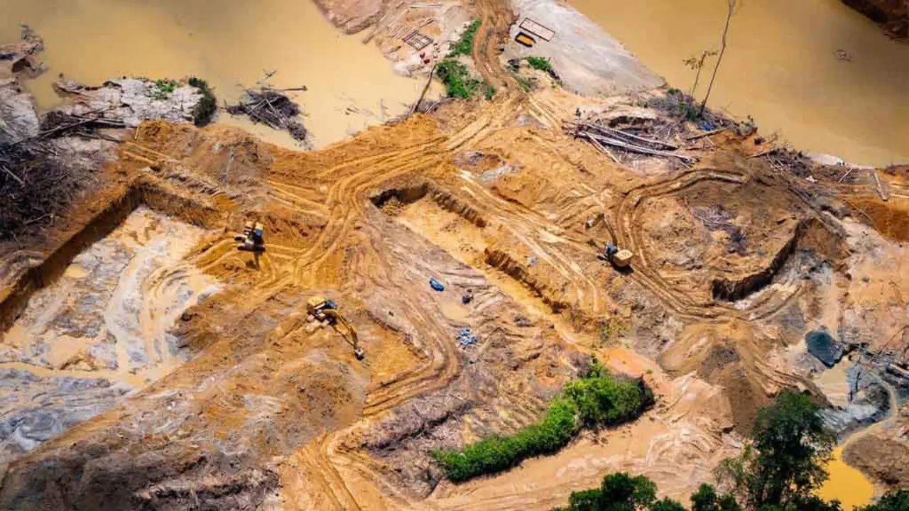 Mineiros ilegais abren un cami&ntilde;o en Terra Ind&iacute;xena Yanomami, a maior reserva ind&iacute;xena do Brasil. (Foto: Greenpeace)