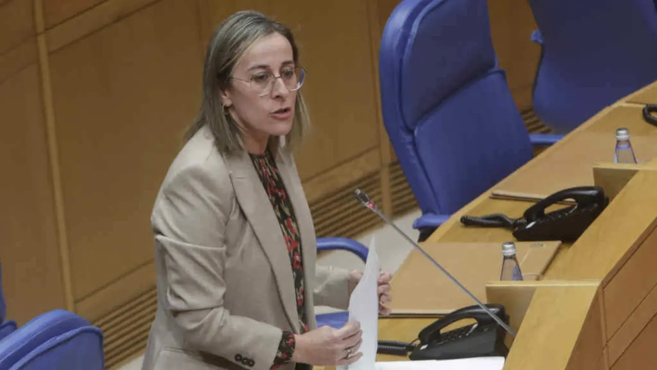 A conselleira de Mobilidade e Infraestruturas, Ethel V&aacute;zquez (Foto: Xunta da Galiza).
