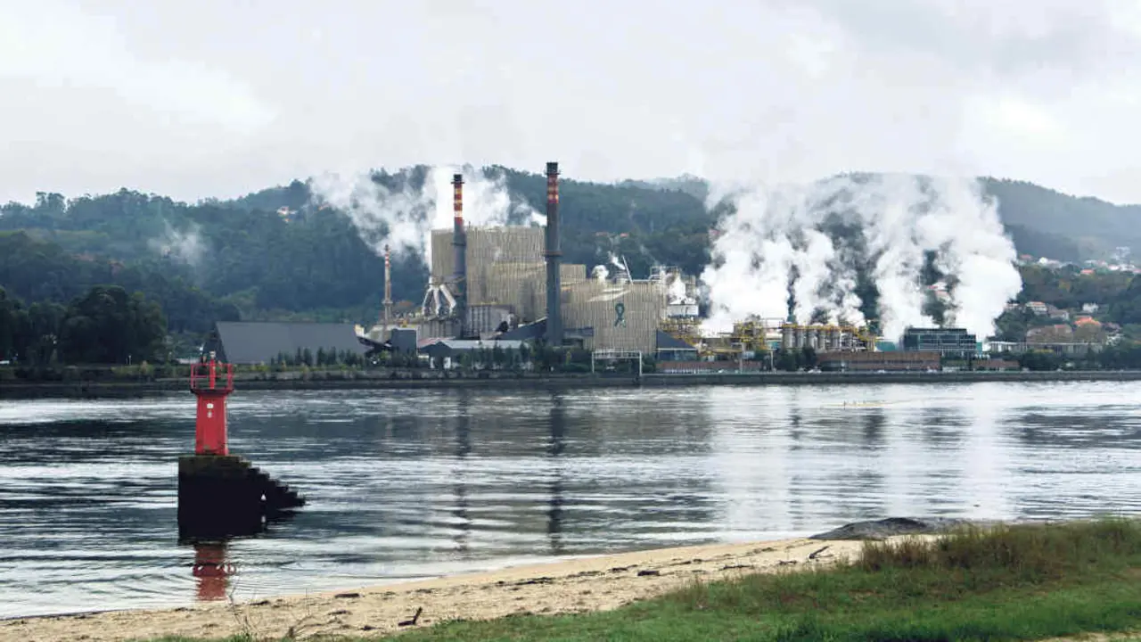 Factor&iacute;a de Ence en Pontevedra. (Foto: Xaqu&iacute;n Soli&ntilde;o)