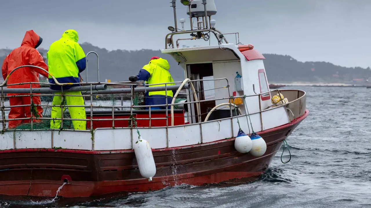 A pesca galega de baixura poder&iacute;a verse afectada polas li&ntilde;as de evacuaci&oacute;n da e&oacute;lica mari&ntilde;a (Foto: Casavella).