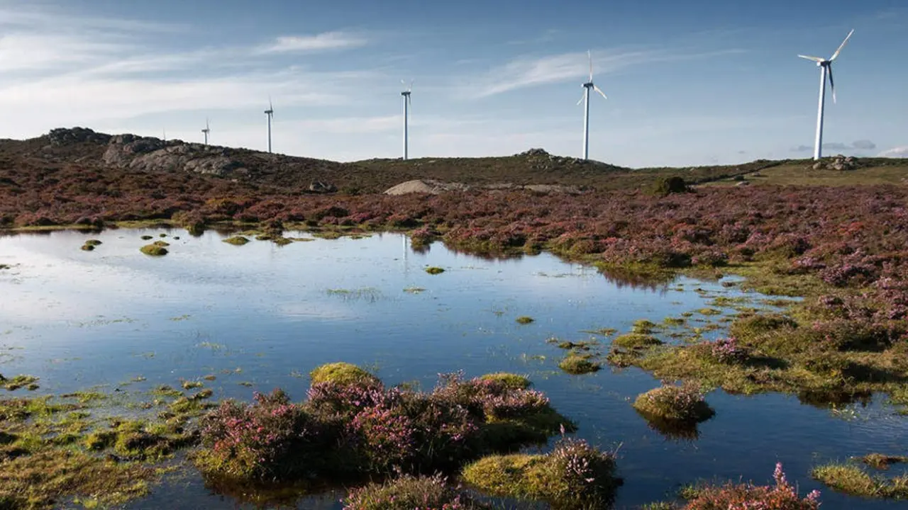 As turbeiras da serra do Forgoselo, na comarca de Ferrolterra, foron inclu&iacute;das no Inventario de Zonas H&uacute;midas da Galiza. (Foto: Xeoparque Cabo Ortegal)