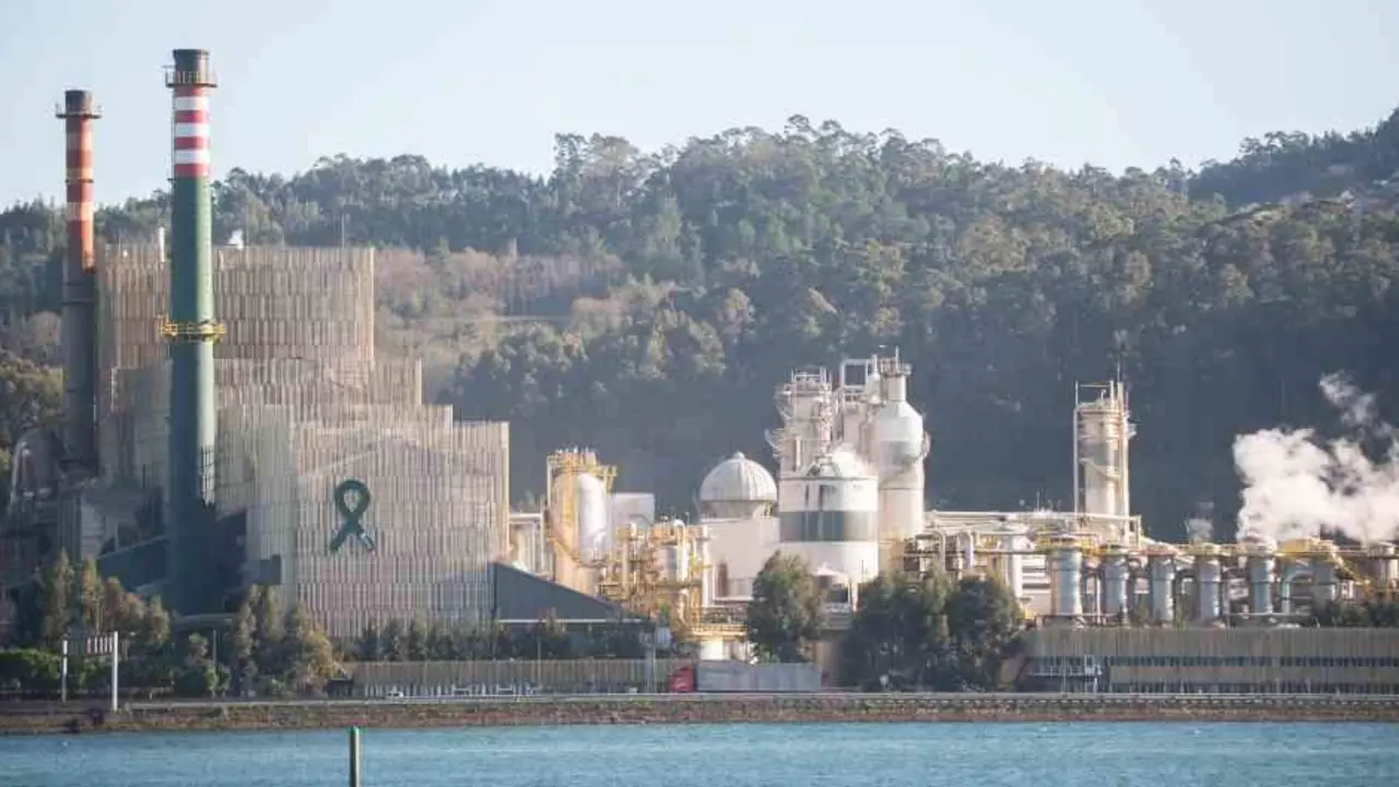 O complexo industrial de Ence, en Louriz&aacute;n, na R&iacute;a de Pontevedra. (Foto: Europa Press)