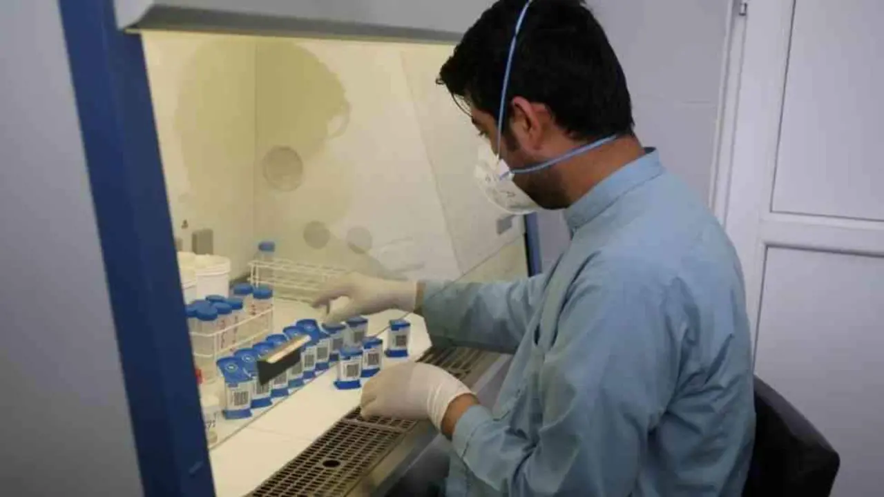 Un laboratorio traballando con medicamentos vinculados &aacute; tuberculose. (Foto: N&oacute;s Diario)
