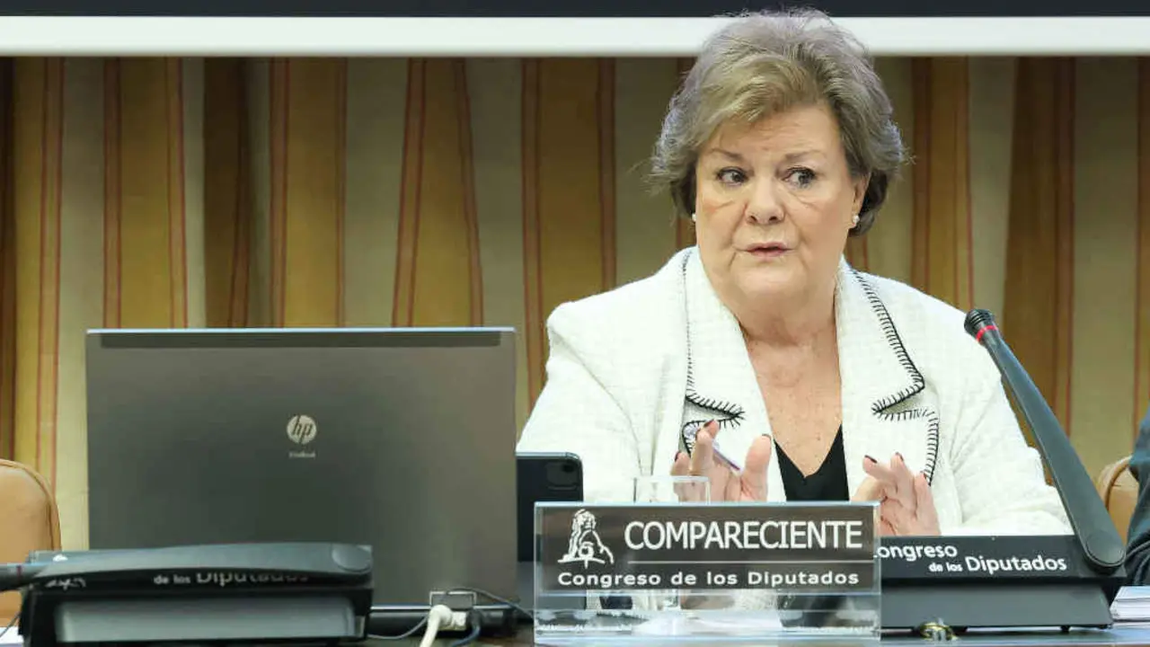 A presidenta do Tribunal de Contas, Enriqueta Chicano esta terza feira no Congreso (Foto: Marta Fern&aacute;ndez Jara - Europa Press).