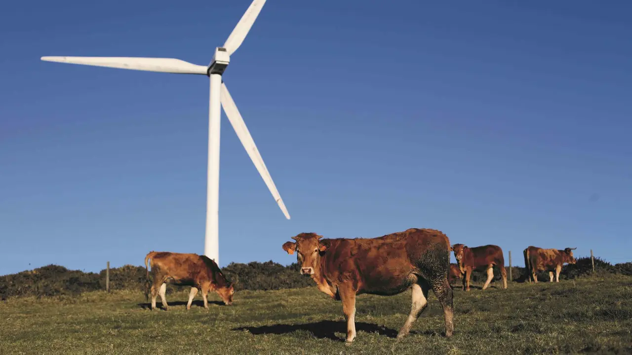 En moitos casos, a proliferaci&oacute;n de parques e&oacute;licos na Galiza, como este da Serra do Xistral, interfire coas actividades agrarias (Foto: Carlos Castro / Europa Press).
