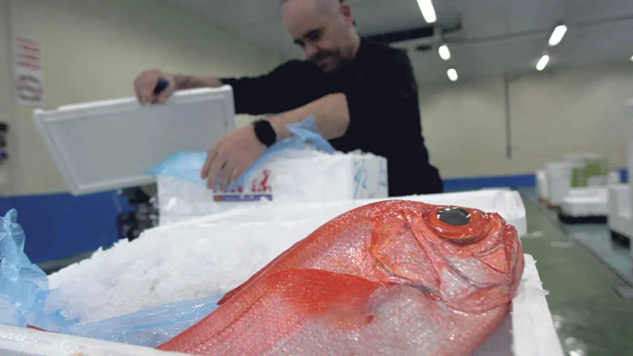 O ano pasado chegou &aacute;s lonxas galegas (na imaxe, a de Burela) a menor cantidade de peixe e marisco en case d&uacute;as d&eacute;cadas. (Foto: Carlos Castro / Europa Press)