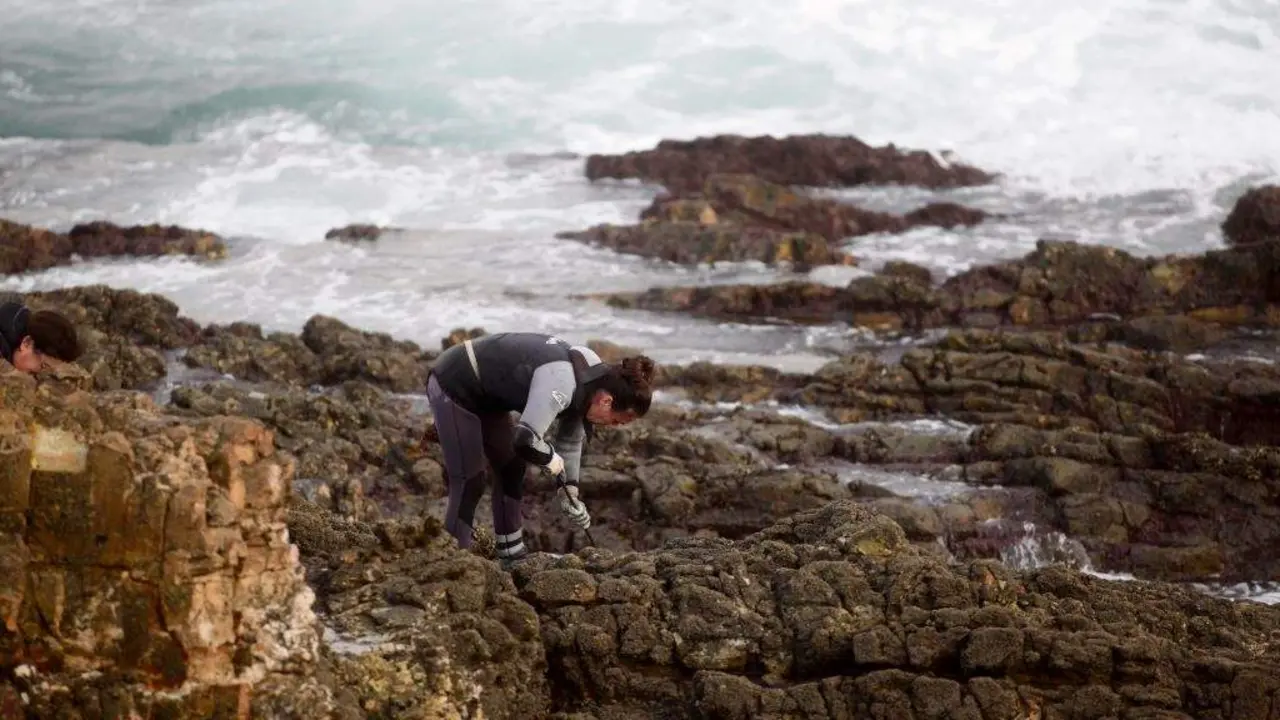 Percebeiras de Rinlo, da Confrar&iacute;a de Pescadores de Ribadeo. (Foto: Carlos Castro / Europa Press)