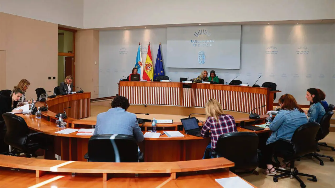 Sesi&oacute;n da comisi&oacute;n de sanidade do Parlamento, esta quinta feira. (Foto: Parlamento da Galiza)