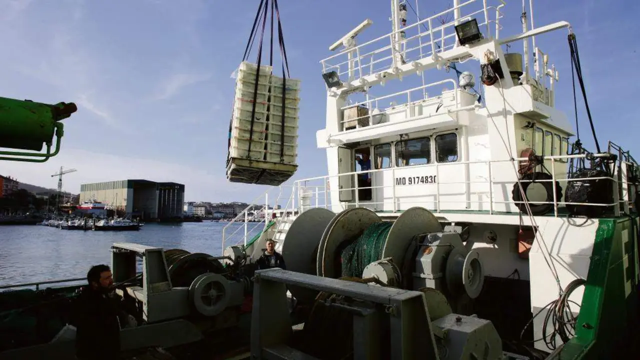 Descarga dun barco de xarda no porto de Burela. (Foto: Carlos Castro / Europa Press)