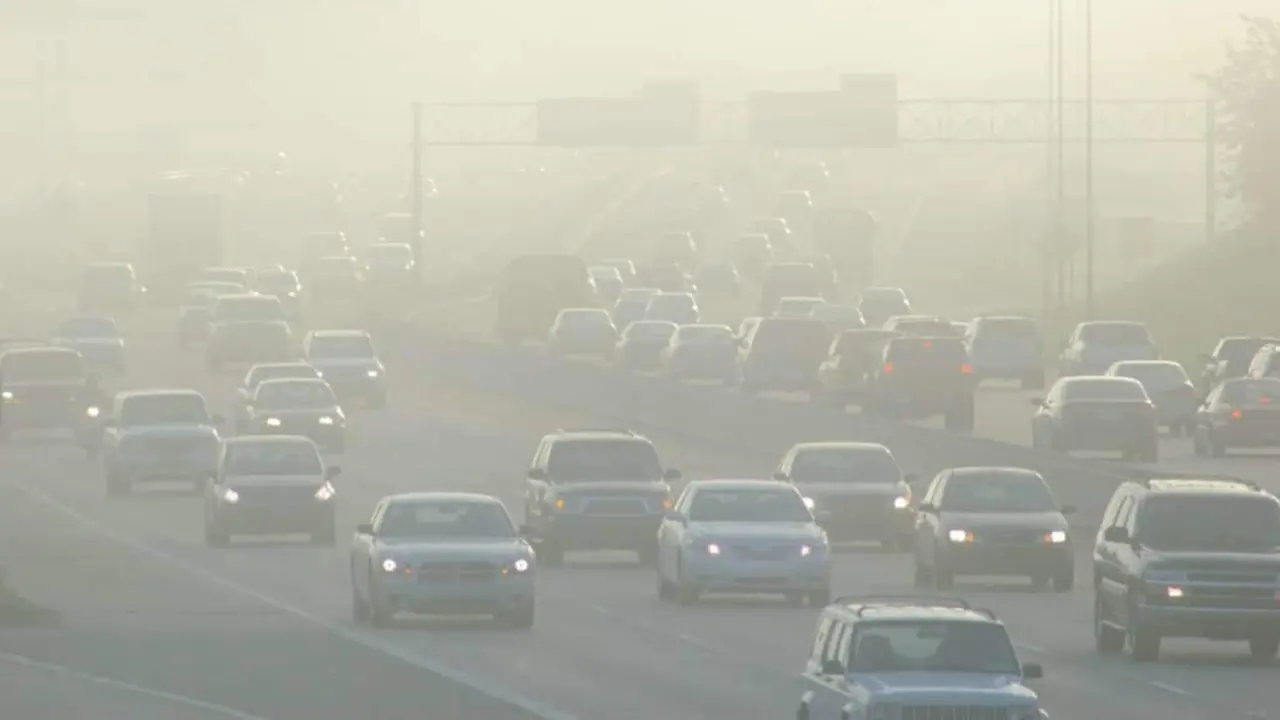 A contaminaci&oacute;n &eacute; un factor de risco moi importante para as crianzas europeas (Foto: Europa Press).