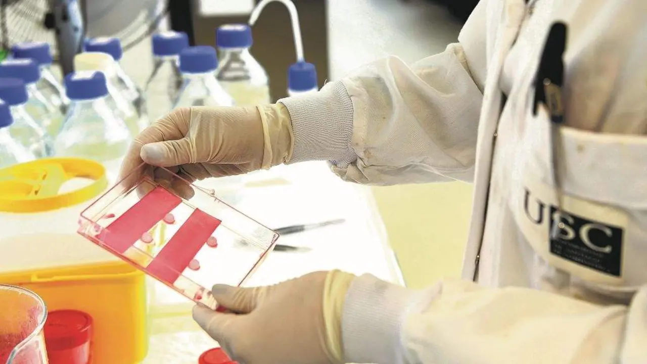 O persoal do Centro Singular de Investigaci&oacute;n en Tecnolox&iacute;as Intelixentes (CiTIUS) da USC &eacute; indispens&aacute;bel para a investigaci&oacute;n. (Foto: USC)
