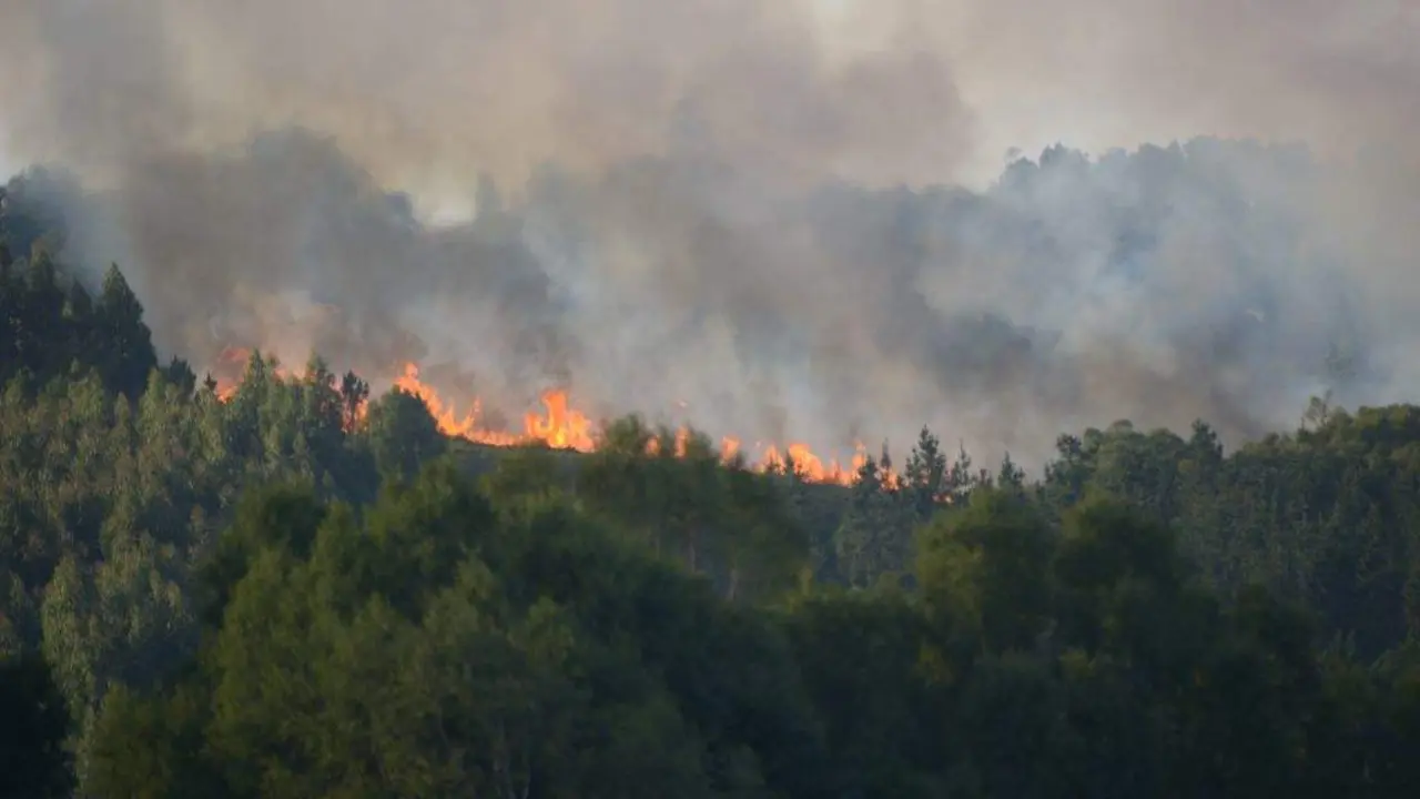 Incendio en Vilalba. (Foto: Gustavo de la Paz / Europa Press)