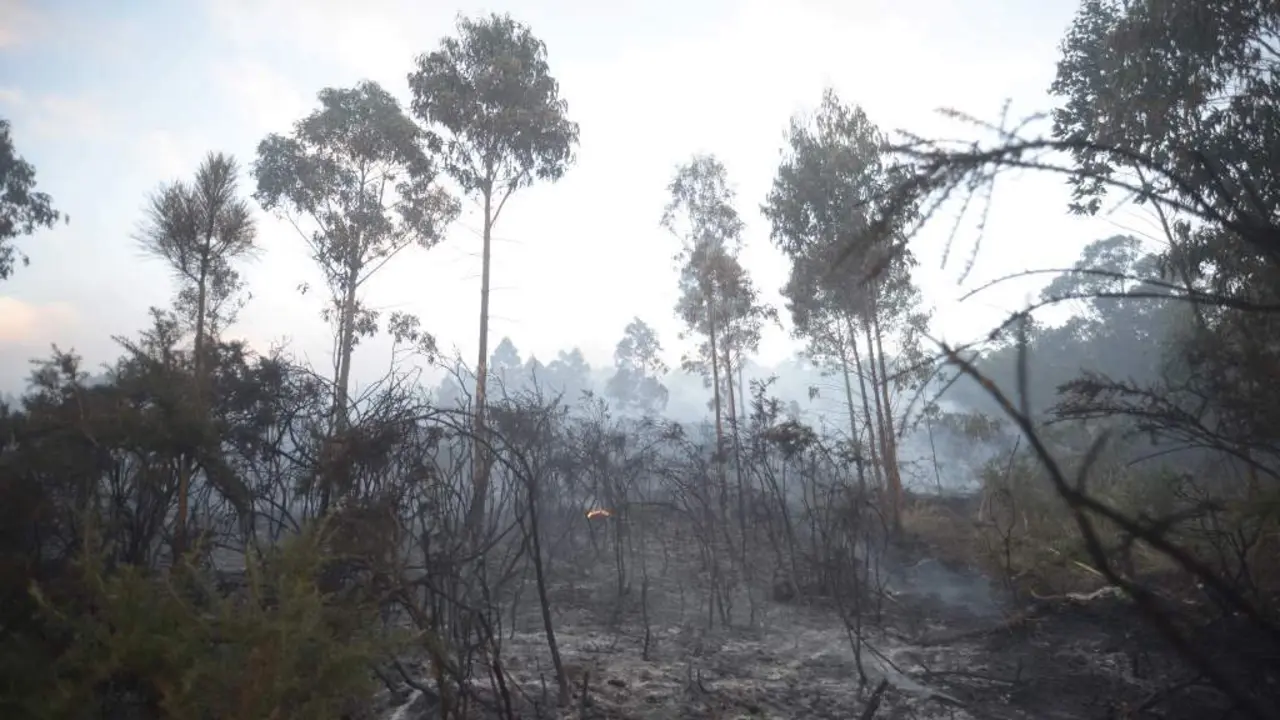 Incendio en Suevos, Arteixo, esta cuarta feira. (Foto: Gustavo de la Paz / Europa Press)