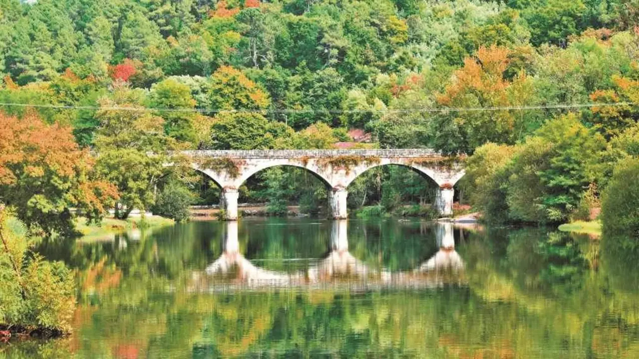Ponte de Leiro Dixital