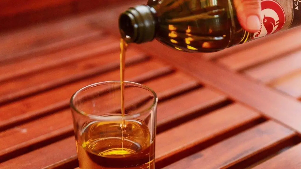 Est&iacute;mase que a produci&oacute;n de aceite de oliva aumentar&aacute; en 2023. (Foto: Eduardo Parra / Europa Press)